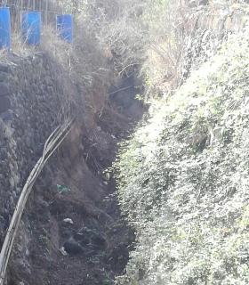 Limpieza de barrancos en Los Silos · foto 1