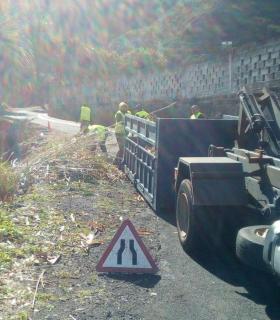 Limpieza de barrancos en Los Silos · foto 3