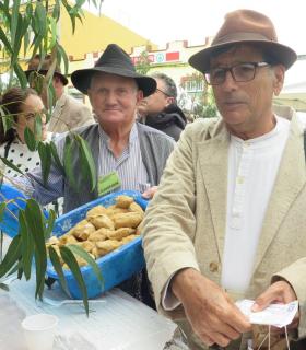 Fiesta del Queso en Montaña Alta con miles de visitantes de toda Gran Canaria fieles a esta cita en las medianías de Guía · foto 14