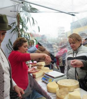 Fiesta del Queso en Montaña Alta con miles de visitantes de toda Gran Canaria fieles a esta cita en las medianías de Guía · foto 17