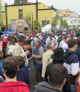 Fiesta del Queso en Montaña Alta con miles de visitantes de toda Gran Canaria fieles a esta cita en las medianías de Guía · foto 11