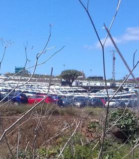 Los coches invaden Tenerife · foto 3