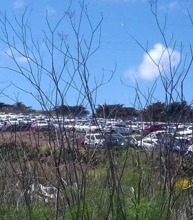 Los coches invaden Tenerife · foto 1