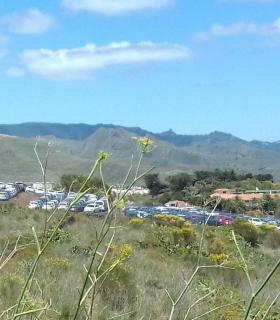 Los coches invaden Tenerife · foto 2