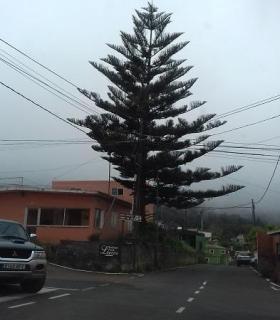 Tienen que soterrar el cableado aéreo en Tenerife · foto 2