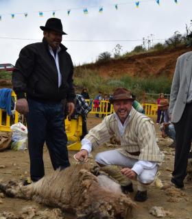 La Fiesta de La Lana en Caideros de Gáldar, el mejor homenaje al Día de Canarias · foto 6