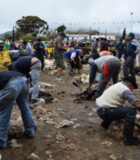 La Fiesta de La Lana en Caideros de Gáldar, el mejor homenaje al Día de Canarias · foto 12
