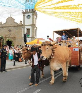 Granadilla de Abona se puso guapa en honor a San Antonio de Padua · foto 3