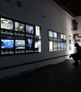 La Fundación CajaCanarias inaugura la exposición Fotógrafos de la naturaleza 2018, en su Espacio Cultural Garachico · foto 3