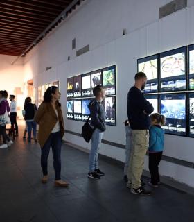 La Fundación CajaCanarias inaugura la exposición Fotógrafos de la naturaleza 2018, en su Espacio Cultural Garachico · foto 5