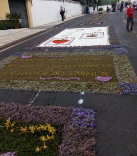 Los vecinos de Pedro Álvarez plasman la tradición de su Corpus Christi con una veintena de tapices · foto 5