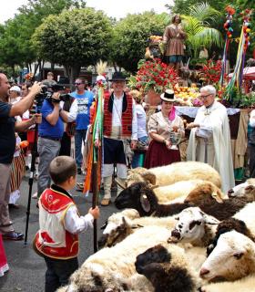 Tacoronte mantiene sus esencias rurales en la romería de San Isidro Labrador · foto 3