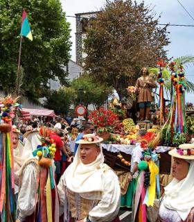 Tacoronte mantiene sus esencias rurales en la romería de San Isidro Labrador · foto 2
