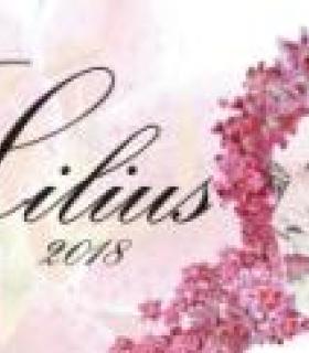 El pasado fin de semana, en La Casa del Vino de Tenerife, se presentó Lilius, un vino con fines benéficos · foto 4