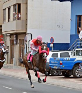 El público se entusiasma con el espectáculo de la Primera Carrera de Caballos sobre asfalto en Gáldar · foto 9