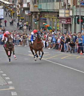 El público se entusiasma con el espectáculo de la Primera Carrera de Caballos sobre asfalto en Gáldar · foto 10