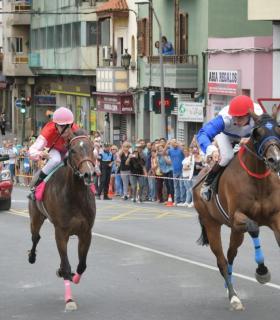 El público se entusiasma con el espectáculo de la Primera Carrera de Caballos sobre asfalto en Gáldar · foto 2