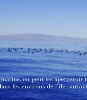 La campaña de La Gomera como destino de turismo naturaleza supera las 800 mil reproducciones en redes · foto 1