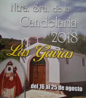 El barrio lagunero de Las Gavias celebra el XL aniversario de sus fiestas en honor a Ntra. Sra. de la Candelaria · foto 1