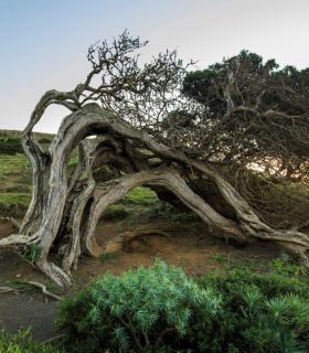 El Cabildo de El Hierro apuesta por la modernización y mejora del sector turístico · foto 4