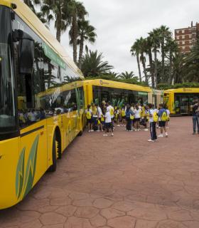 Las Palmas de Gran Canaria: Guaguas Municipales renueva su flota con tres nuevos vehículos de tecnología híbrida que reducen un 25% las emisiones de CO2 · foto 2