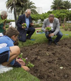 Las Palmas de Gran Canaria: Guaguas Municipales renueva su flota con tres nuevos vehículos de tecnología híbrida que reducen un 25% las emisiones de CO2 · foto 4