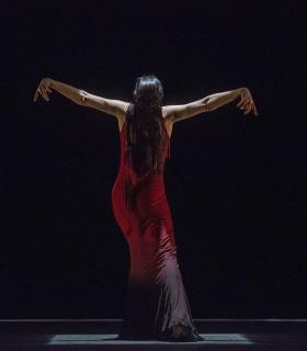 La bailadora María Pagés representará en el Teatro Guimerá ‘Óyeme con los ojos’ · foto 1