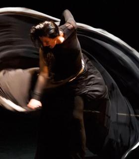La bailadora María Pagés representará en el Teatro Guimerá ‘Óyeme con los ojos’ · foto 3