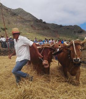 ‘La Trilla’ pone el broche final a las fiestas en honor a Ntra. Sra. de la Consolación en el barrio de El Palmar · foto 1