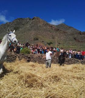 ‘La Trilla’ pone el broche final a las fiestas en honor a Ntra. Sra. de la Consolación en el barrio de El Palmar · foto 2