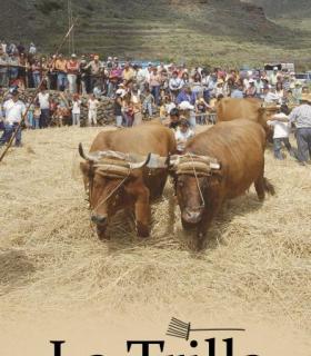‘La Trilla’ pone el broche final a las fiestas en honor a Ntra. Sra. de la Consolación en el barrio de El Palmar · foto 4