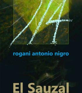 3/4 de Rogani en El Sauzal · foto 1