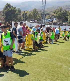 Delegación Islas Canarias del Real Club Español del Perro Pastor Alemán · foto 4