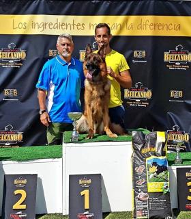 Delegación Islas Canarias del Real Club Español del Perro Pastor Alemán · foto 1