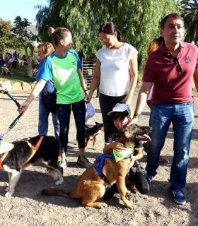 Las mascotas celebran su fiesta por noveno año en el Día de los Animales de Santa Cruz de Tenerife · foto 3