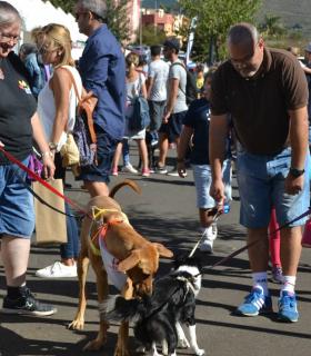 Cientos de familias han participado hoy en la primera feria Familias y Mascotas organizada por La Laguna · foto 1