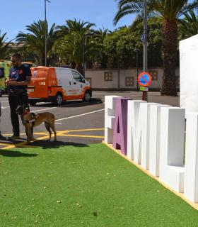 Cientos de familias han participado hoy en la primera feria Familias y Mascotas organizada por La Laguna · foto 5