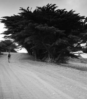 La Frontera: El fotógrafo José Luis Espinosa gana el concurso El Hierro Fototrek 2018 · foto 5