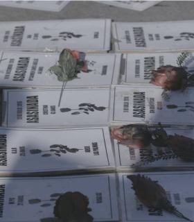TEA Tenerife Espacio de las Artes inaugura con la proyección de Grietas un ciclo de Cine sobre los Derechos Humanos · foto 2