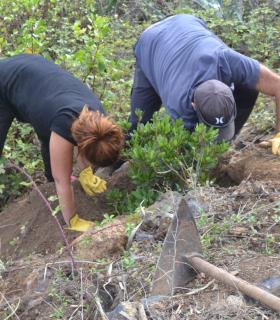 SAGULPA colabora con el grupo Scouts Exploradores de Canarias para una jornada de reforestación · foto 5