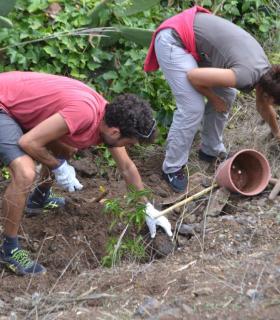 SAGULPA colabora con el grupo Scouts Exploradores de Canarias para una jornada de reforestación · foto 4