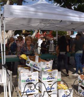 Gáldar presume de su segunda Fiesta del Plátano · foto 2