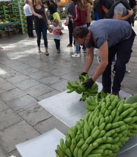 Gáldar presume de su segunda Fiesta del Plátano · foto 9