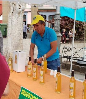 Gáldar presume de su segunda Fiesta del Plátano · foto 12