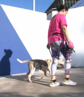 Mogán a la cabeza en el control municipal de animales abandonados · foto 2