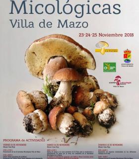 La Sociedad Micológica de La Palma pone en valor el patrimonio micológico insular en sus jornadas anuales · foto 1
