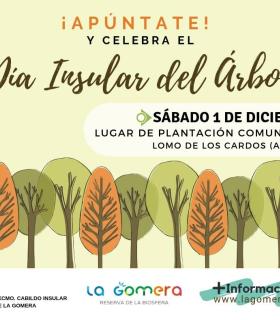 La Gomera celebra el Día Insular del Árbol con una jornada de plantación comunitaria · foto 1