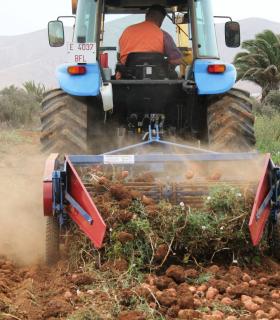 El Tractor Agrícola Municipal de Antigua realiza más de 500 intervenciones al año en gavias · foto 4