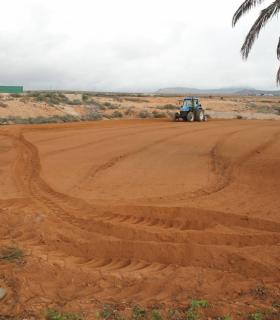 El Tractor Agrícola Municipal de Antigua realiza más de 500 intervenciones al año en gavias · foto 1