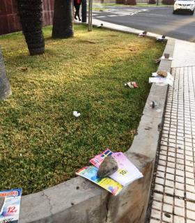 Ashotel insta a la Delegación del Gobierno en Canarias a investigar el fraude de los folletos callejeros de excursiones turísticas · foto 2